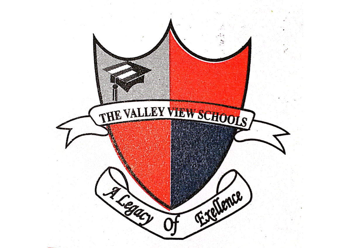 The Valley View Schools logo